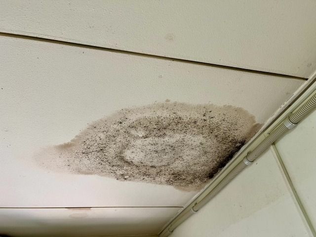 松戸市での雨漏り原因調査と確実な雨漏り修理・止水工事