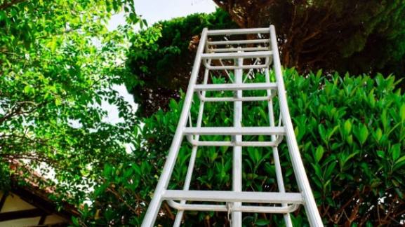 庭木の剪定・高木の伐採などお庭のメンテナンスサービス